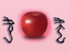 상할 해(害, 蚩)